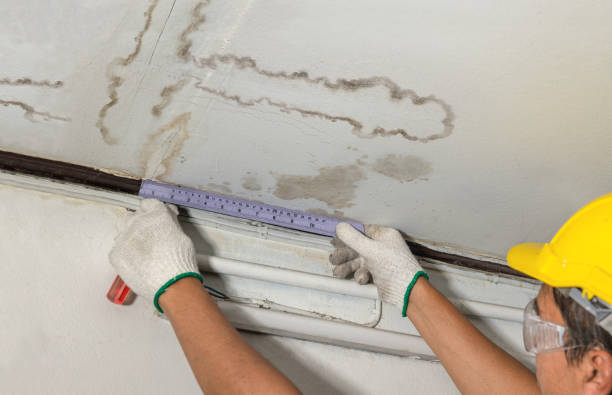 Reliable Basement Water Removal contractor in Justiceburg, TX by Water Damage Irwin